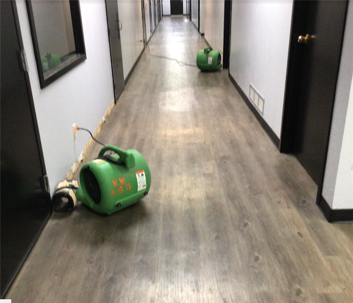 Drying the Walls in a Commercial Building to Prevent Mold Growth 