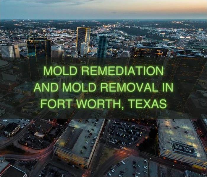 Fort Worth Texas Mold Removal