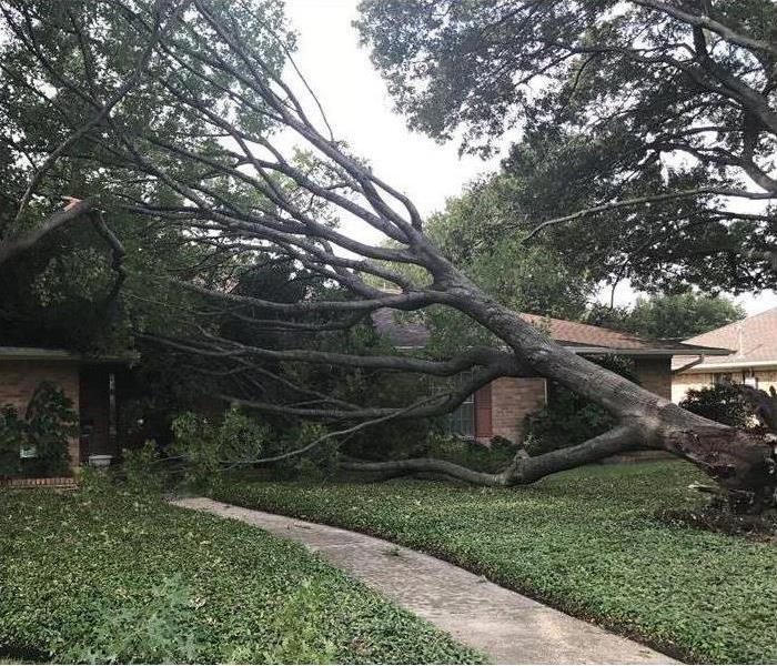 Storm Debris Cleanup