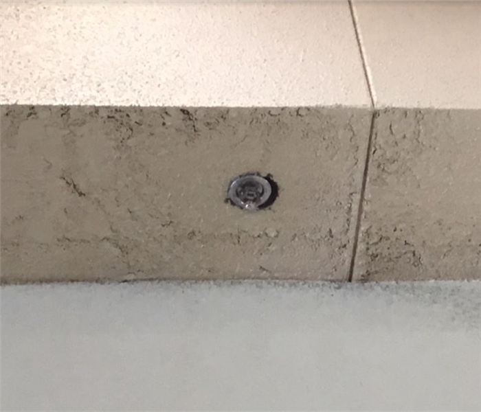 Fire Sprinkler Leak Caused Mold on the Wall
